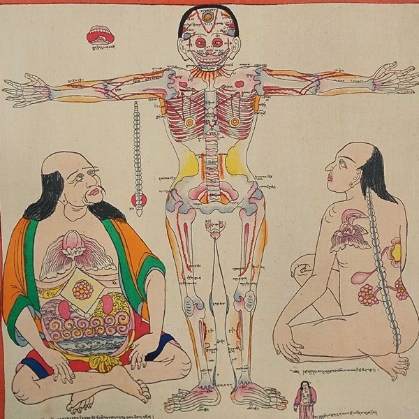 samadhi-and-medical-1-gallery-6